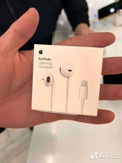 Apple earpods