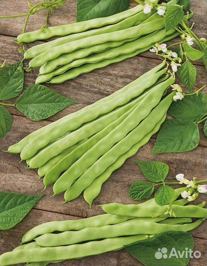 Фасоль Чудо лентяя (уд) 10 шт