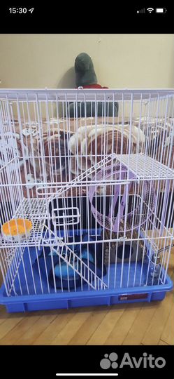 Клетка для дегу, крыс