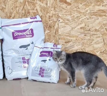Сухой корм для кошек provipet purina