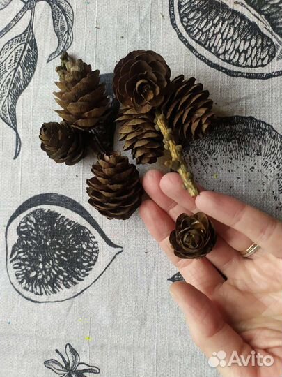 Шишки для декора