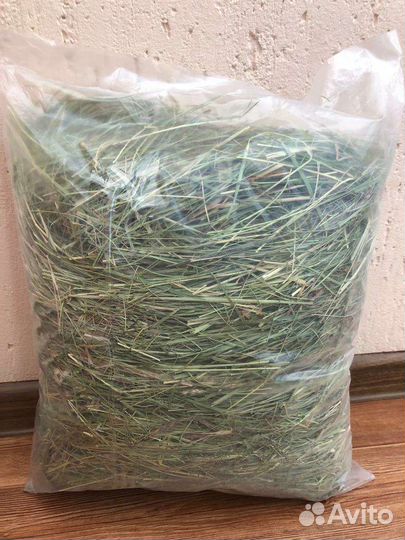 Сено луговое для грызунов