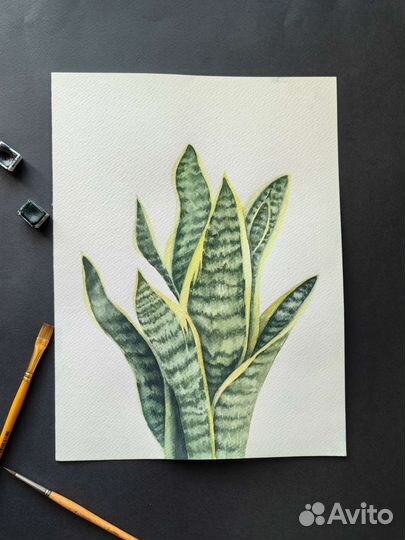 Акварельные рисунки