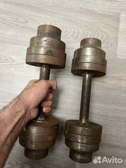 Гантели разборные