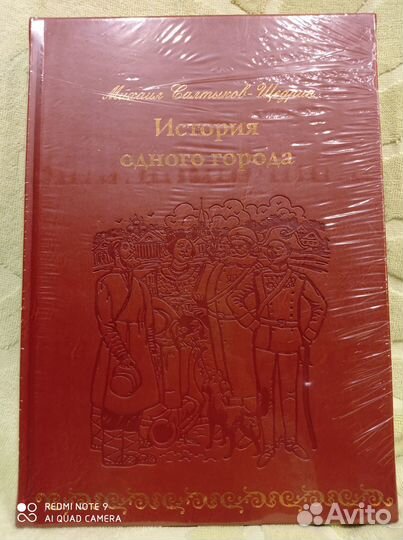 История одного города, Верже кожа