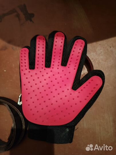 Товары для домашних животных