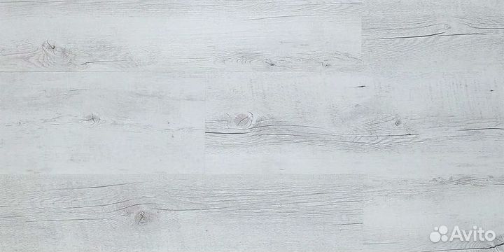 Royce Rich Del R 6041-7