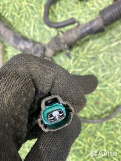 Проводка двс Toyota Avensis универсал 1.8 1zzfe