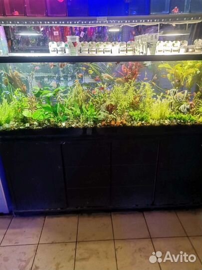 Обслуживание аквариумов