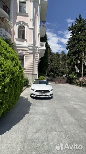 Автопрокат Ялта