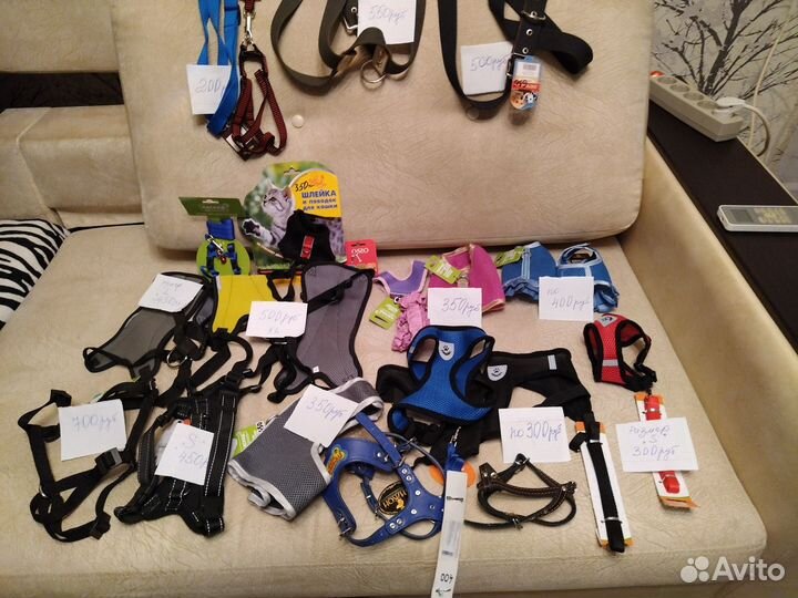 Ошейники, намордники, шлейки для собак