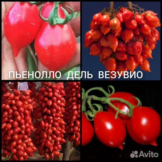 Семена томатов