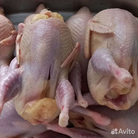 Мясо перепелов