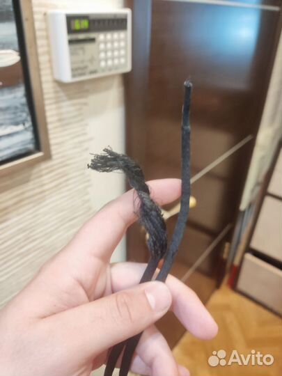 Сноуборд DC Focus 157 + ботинки DC Phase 2013