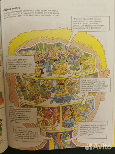 Детская энциклопедия росмэн