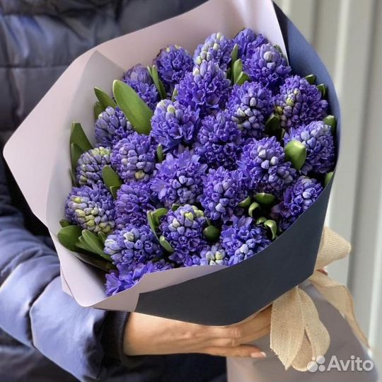 Букет Гиацинт С Доставкой