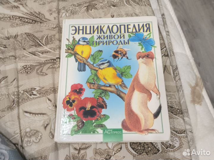 Книга 