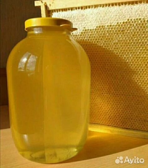 Мёд со своей пасеки