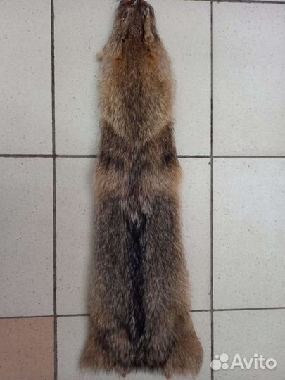 Шкура волка