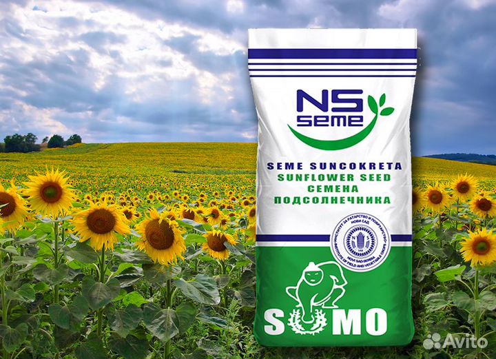 Семена подсолнечника гибрида нс Х 6007 (Экспресс)