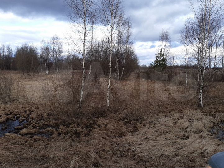 Участок 40 сот. (ИЖС)