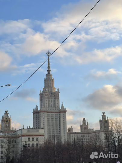 Репетитор по химии МГУ