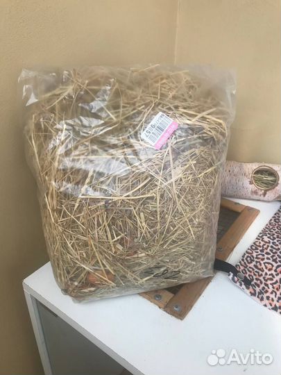 Витрина Клетка для шиншилл дегу хорька грызунов