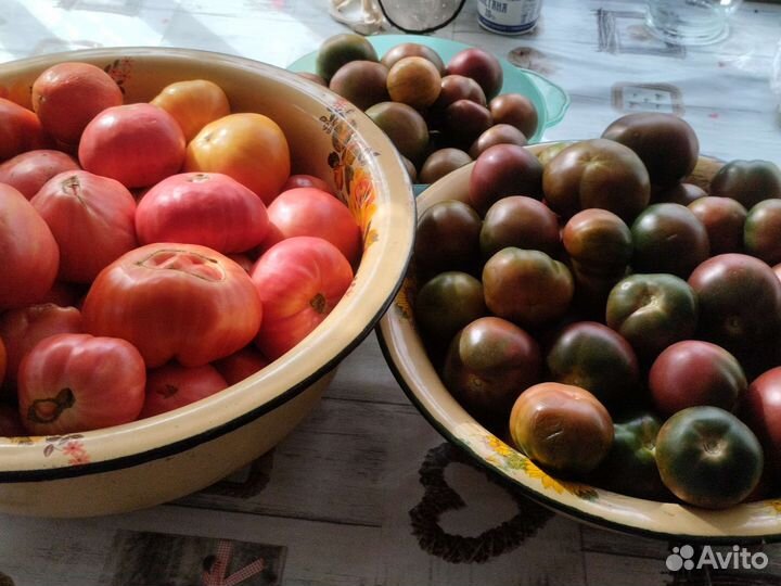 Кабачки, помидоры, огурцы, капуста, яблоки