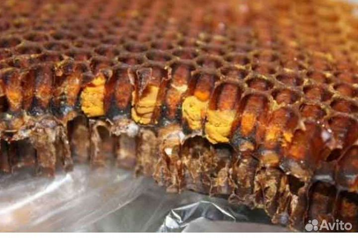 Перга пчелиная