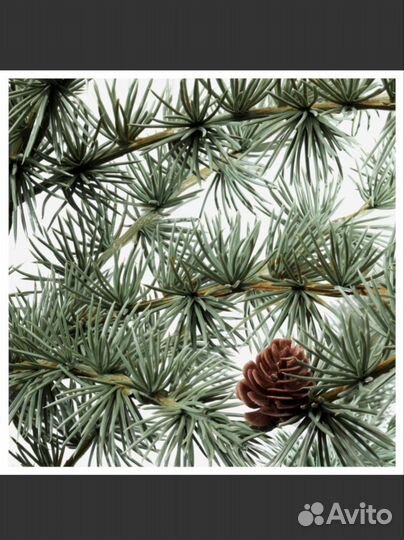 Искусственное дерево Икеа фейка лиственница