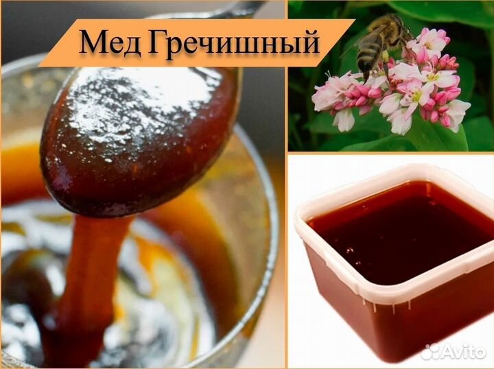 Мед натуральный (гречишный, разнотравье). Алтай