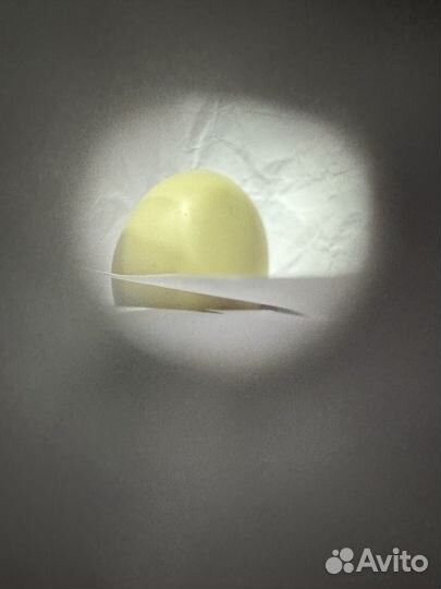 Домашние куриные яйца