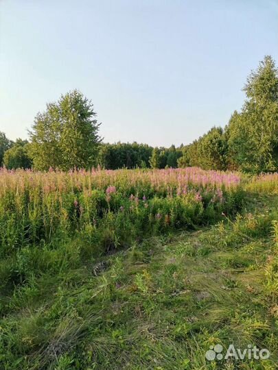 Мед Окунево