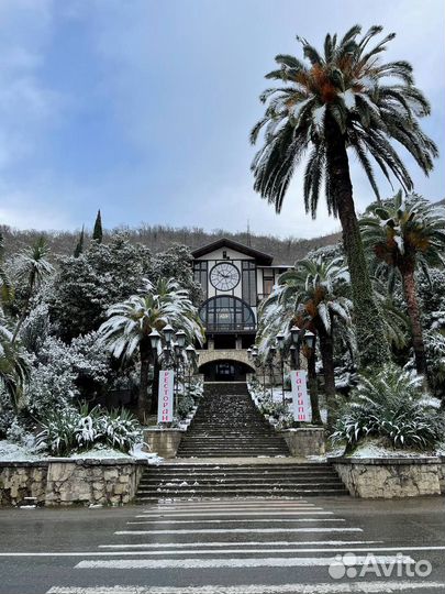 29 дек 23 Новый год в Сочи рэ3013