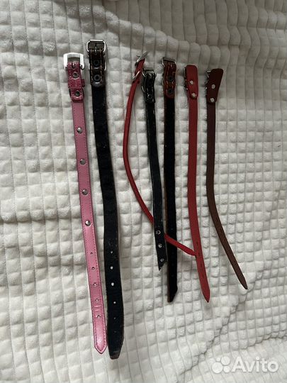 Ошейник для собак