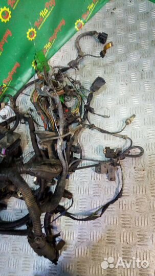 Проводка подкапотная Ford Focus 2 седан 1.6 2006