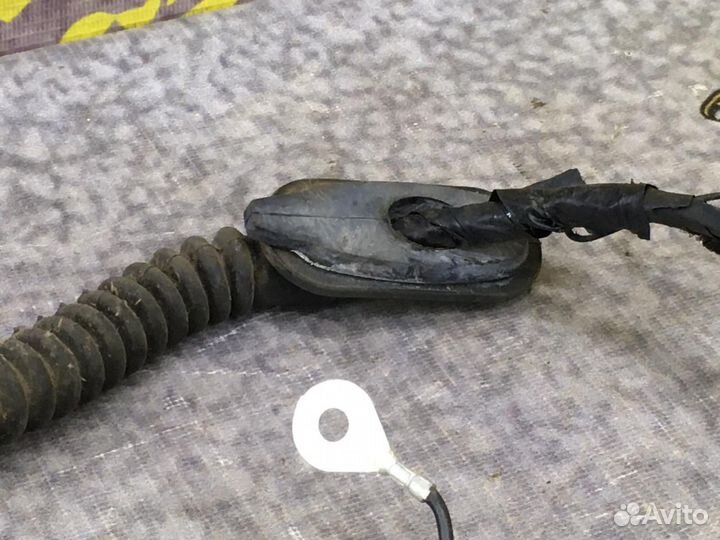 Проводка крышки багажника Форд Фокус 2 Хетчбэк