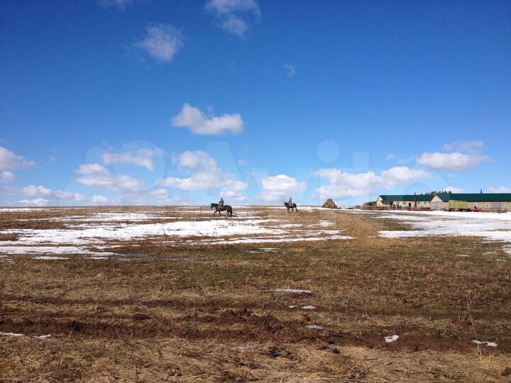 Участок 35 га (СНТ, ДНП)