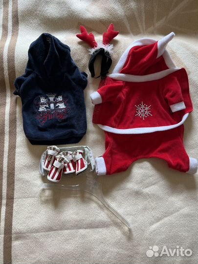 Одежда для мелких собачек