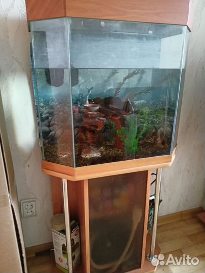 Аквариум с тумбой 90 литров