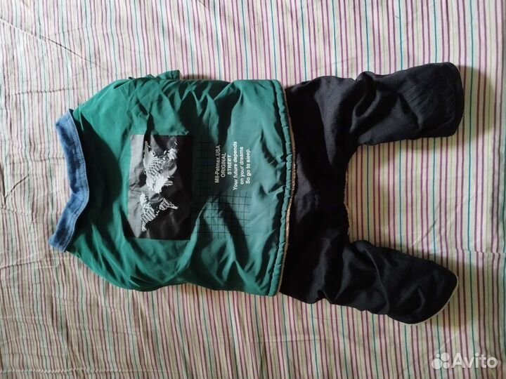 Одежда для собак