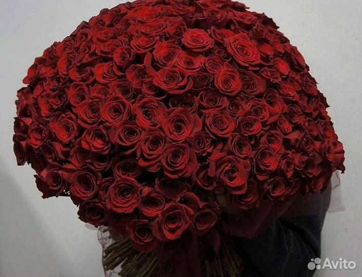 Розы гиганты 140 150 160 170 180 200