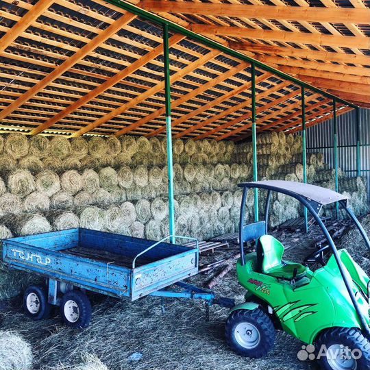 Сено посевных трав