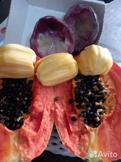 Экзотические семена и саженцы