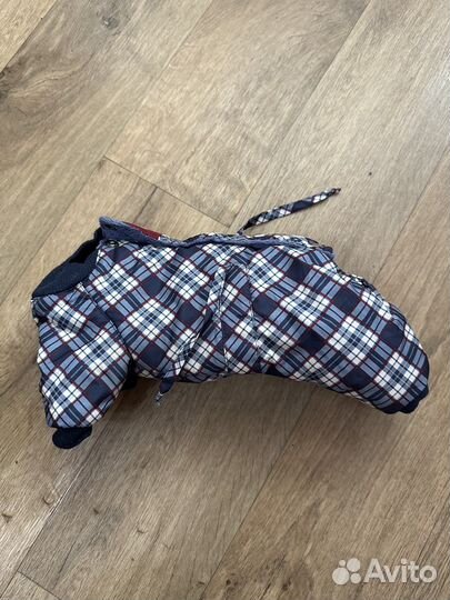 Одежда для собак