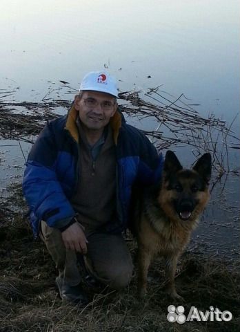 Помощник по хозяйству.Охранник.Водитель