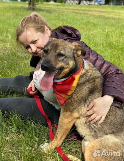 Послушный парень томится в приюте