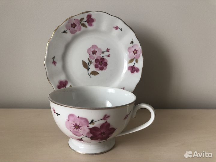 Майский ситчик редкость