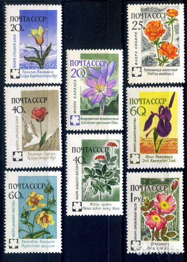 Флора СССР. 1960 год