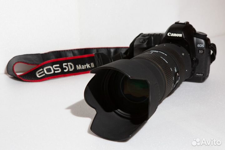 Canon 5d mark ii с супер-телеобъективом 500mm